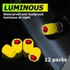 12PCS Fluorescent Skull Car Tire Valve Stem Caps, ABS Corrosion