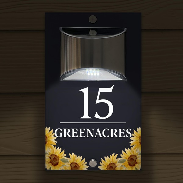 Custom Signs Solar Illuminated Modern Anthracite House Number Sign 24cm