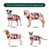 Kuoser Kuoser Recovery Suit for Dogs Cats After Surgery, Professional