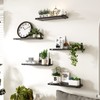 Fixwal Floating Shelves Set of 5, Width 4.7 Inches Black