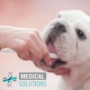 M S Kit Dental Hierbabuena Anti: Sarro, Placa Y Mal