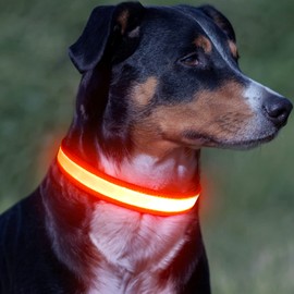 Vizpet LED Dog Collar, Light Up Dog Collar Adjustable USB Rechargeable Super Bright Safety Light Glowing Collars for Small Dogs(Small,Orange)
