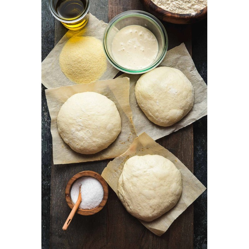 Heritage Sour SOURDOUGH STARTER DEHYDRATED ORGANIC SOUR EAST TENNESSEE -