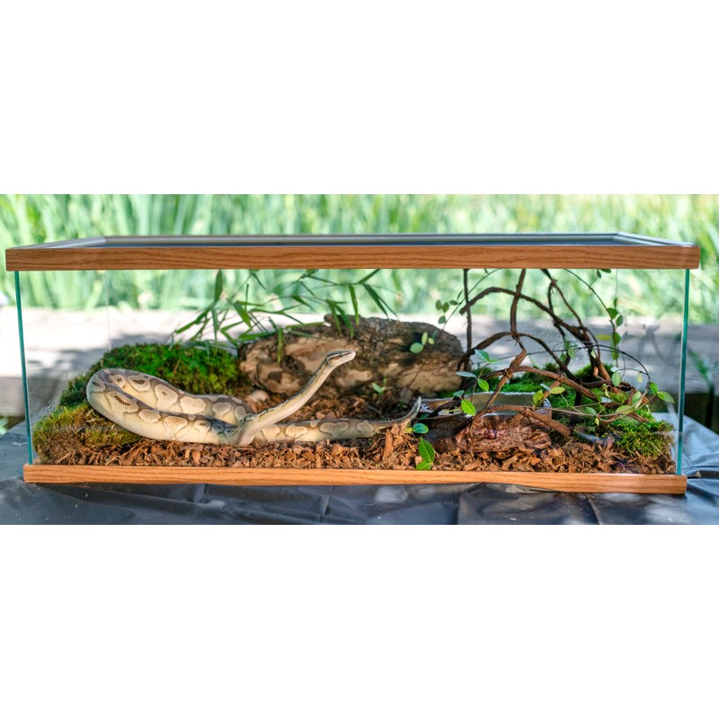 Galápagos (05020) Tropicoco® Husk Bedding for Reptiles, Amphibians, & Terrariums