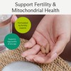 Needed. Egg Quality Support - Optimally Formulated Antioxidants Supplement to