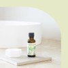 Life Tree Limy Vacation Blend Essential Oil 30ml Aroma Oil