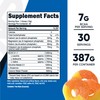 Nutricost Nutricost BCAA + Hydration Powder (Peach Rings) 30 Servings - Branched Chain Amino Acids with Hydration Complex - Gluten-Free, Non-GMO