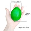 Large Size 3.5" X 2.1" Artificial Limes Lifelike Fake Green