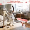2 Pack Squirt Spray for Cats Dogs Training Squirt for