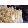 Seeds4planting - Seeds White Asparagus Non GMO Heirloom for Planting