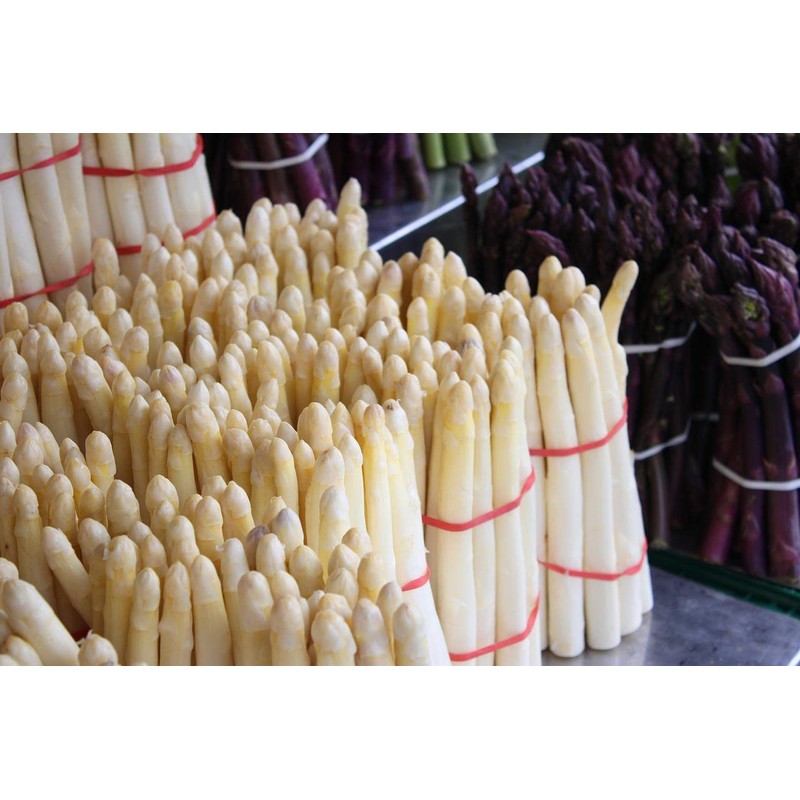 Seeds4planting - Seeds White Asparagus Non GMO Heirloom for Planting
