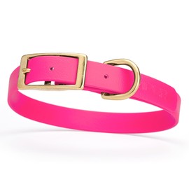 Viper Biothane Heavy Duty Waterproof Dog Collar Strong Coated Nylon Webbing w/Solid Brass Hardware Odor-Proof Easy to Clean High Performance Fits Small Medium or Large Dogs, Passionfruit Pink