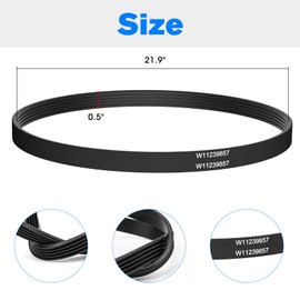 W11239857 Washing Machine Belt Replacement for Maytag Amana Whirlpool Washer Belt W10808317, PS12578772, AP6333320, 4845287, AP6333320-2 Pack