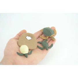 Collectible Wildlife Gifts Sea Turtle Life Cycle, 4 Piece Toy Set Realistic Rubber Model, 2.75" CH994 BB215