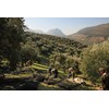 Venta del Barón - Voted The World's Best Olive Oil