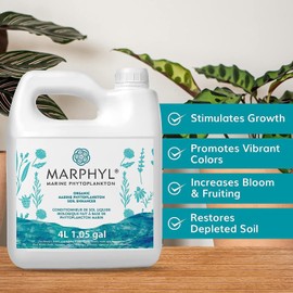 MARPHYL Organic Liquid Fertilizer - Outdoor & Indoor Plant Food - All-Purpose, Nutrient-Rich Lawn Fertilizer & Soil Enhancer for House Plants, Flowers, Vegetables, Succulents, Bamboo, Hydroponics