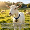 CJFNDFA 5 Pack Nylon Goat Collar with Bell, Adjustable for