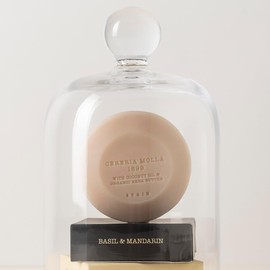 Cereria Molla 1899 Scented Soap Basil & Mandarin