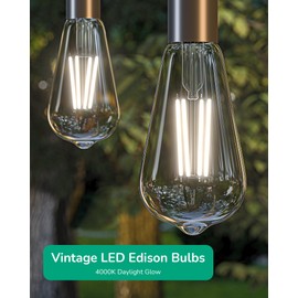 EDISHINE 6 Pack Vintage LED Edison Bulbs 8W Equivalent 60W, ST64 Dimmable Led Light Bulbs, 700LM 4000K Cool White Light E26 Base, Decorative Antique LED Filament Bulbs for Home and Commercial