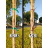 Generic Brown Plant Tie Tape - 150 Feet x 1/2