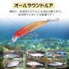 Goture Minnow Lure Set, Stream, Gulf, Sinking Minnow, Sea Bass,