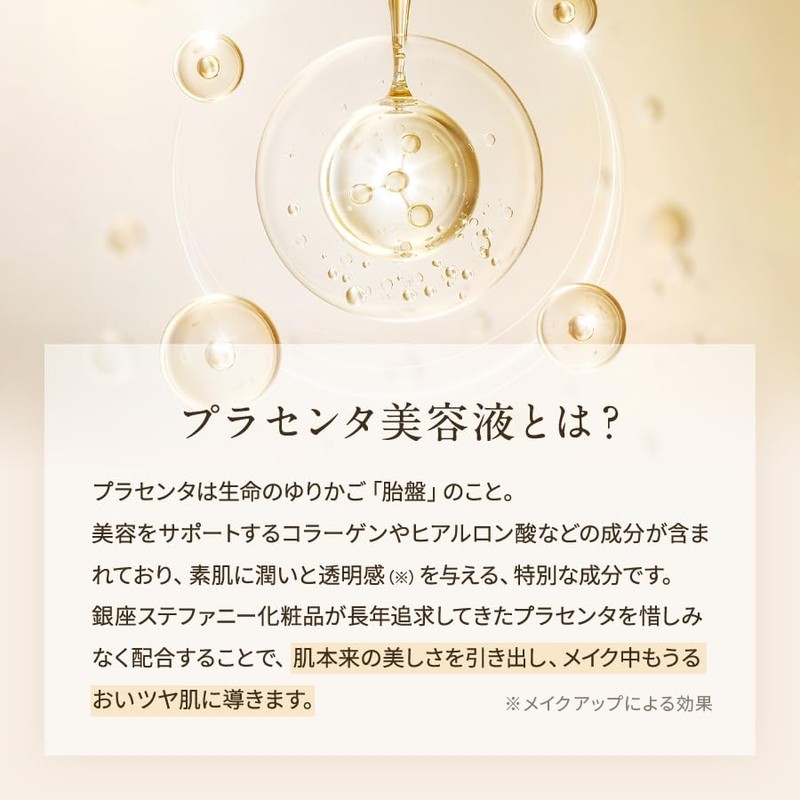 Placentist Cushion Foundation Case