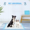 Blue Puppy Pads Small Dogs, Pee Pads for Dogs 100