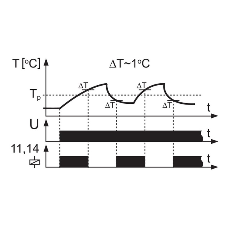 EXTA RTM-01 Temperature Controller