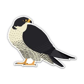 Peregrine Falcon Bid of Prey - 5" Vinyl Sticker - for Car Laptop I-Pad - Waterproof Decal