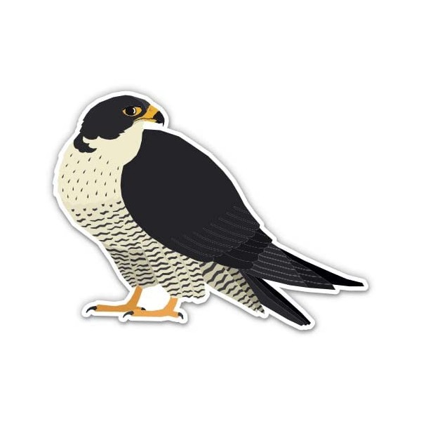Peregrine Falcon Bid of Prey - 5" Vinyl Sticker -