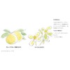 MUJI Bubble Face Wash Foam for Sensitive Skin