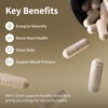 Snap Supplements - Nitric Oxide Booster 60ct + Cherry Flavor