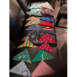 small dog bandanas