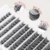 Goddvenus Cluster Lashes D Curl Individual Lashes, 100pcs Lashes Individual