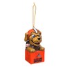 Team Sports America 3OT3807MAS Cleveland Browns Mascot Ornament