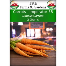 TKE Farms & Gardens - Imperator 58 Carrot Seeds for Planting, 1000+ Heirloom Non-GMO Vegetable Variety, Raised Bed Friendly, Instructions Included