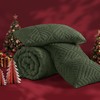 Andency Dark Olive Green Comforter Set Queen Size, Lightweight Fluffy