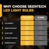Seentech 25 Pack G40 Replacement LED Light Bulbs E12 Candelabra