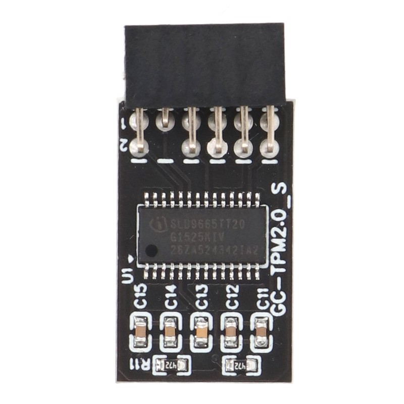 TPM 2.0 Module LPC SPI 12Pin Remote Card Encryption Security