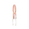 LUMICA C00159 Squid Replacement Suit (S) UV-Pink
