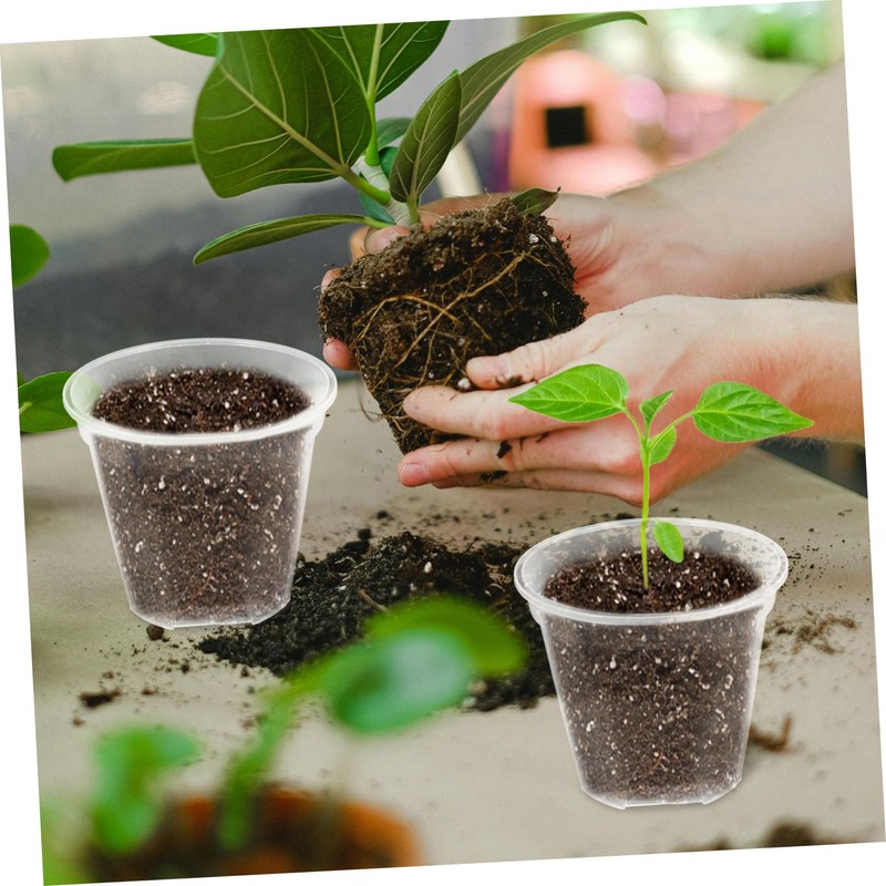 Kisangel Plastic Orchid Pots Set of 10 12cm Outer Diameter