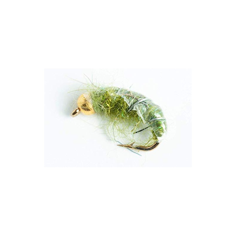 BH Czech Mate Nymph Fly, 6-Pack (Olive, #12)