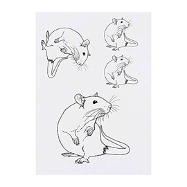 Azeeda 4 x 'Schnüffelratte' Temporäre Tattoos - Wasserfest, Hautfreundlich & Ungiftig · Transfers in Verschiedenen Größen (TO00043975)