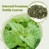 FullChea - Nettle Leaf Tea Bags, 25 Teabags, 1.5g/bag -
