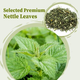FullChea - Nettle Leaf Tea Bags, 25 Teabags, 1.5g/bag - Naturally Stinging Nettle Tea - Support Eye Health & Strengthen Bones