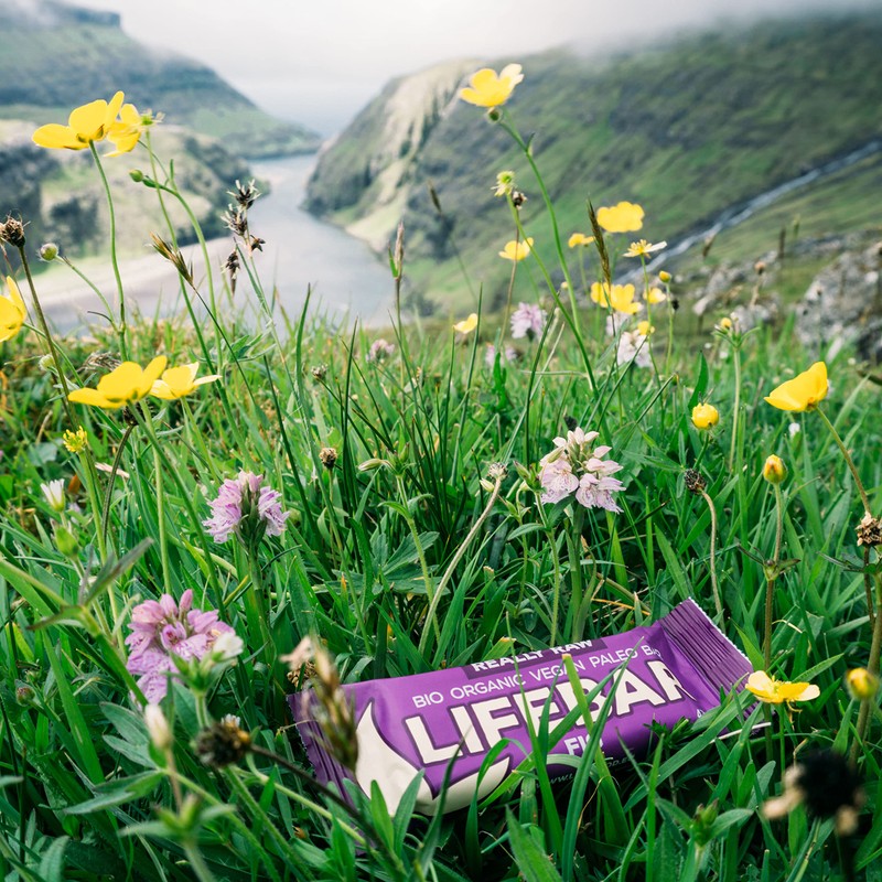 lifefood Lifebar Fig Pack of 15 (15 x 47 g)
