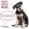 Pawbits 120 Green Lipped Mussel For Dogs 500mg Hip &