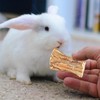 KxrTpx 3 Rabbit Chew Toys, Boredom Breakers for Small Pets,