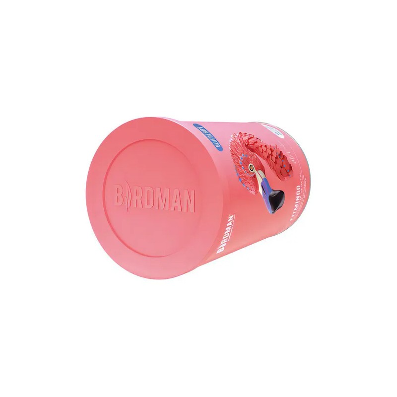 Birdman Protena Vegetal Fitmingo 510g Sabor Blueberry Blueberry