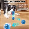 Xihongshi Shaky Ball Toy for Dogs (Cosmic Orange)